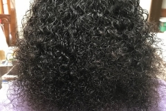 Shampooed Natural Curls