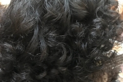 Roller Set on Natural Hair with Finger Styling Only Side View