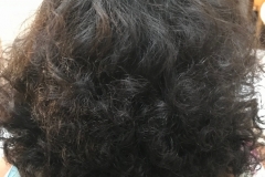 Roller Set on Natural Hair Finger Styling 2