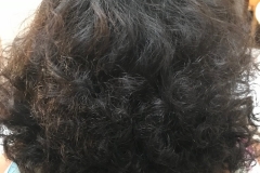 Roller Set Back No Heat