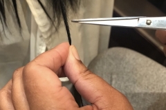 Search & Destroy Hair Trimming Method II